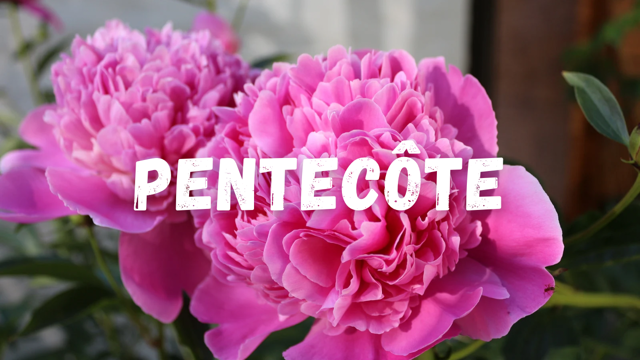 Culte du 8 juin 2025