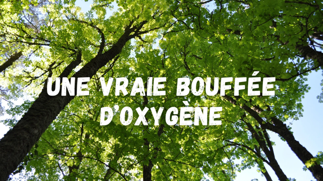 Culte du 3 août 2025